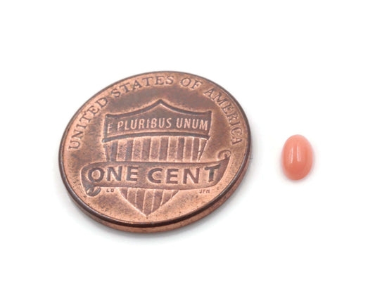 Coral Loose Stones - Taj Mahal Gems