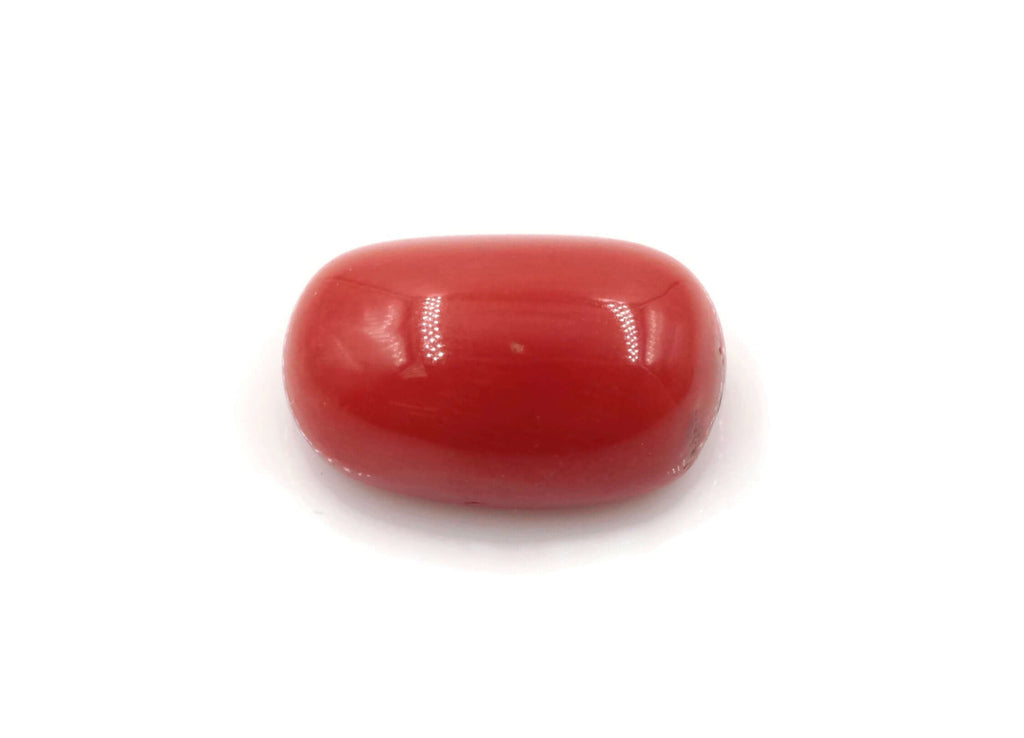 Red Coral Cabochon: Exquisite Coral Beauty